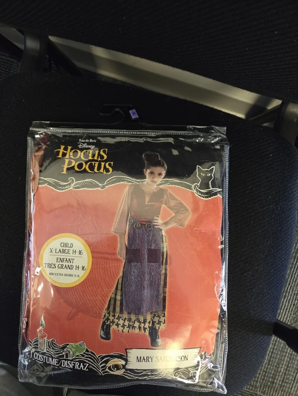 Mary Sanderson Costume from Hocus Pocus--Girls Size XL(14-16)-NWT-Halloween Fun